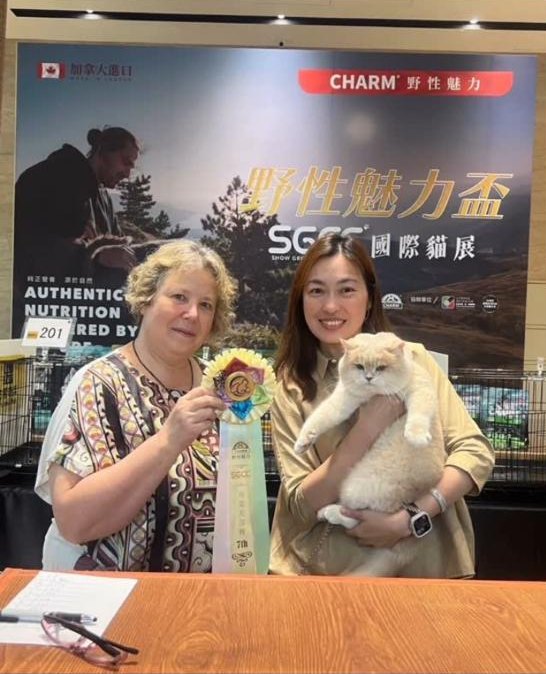 赫茲 Haz 於 SGCC 國際貓展獲獎